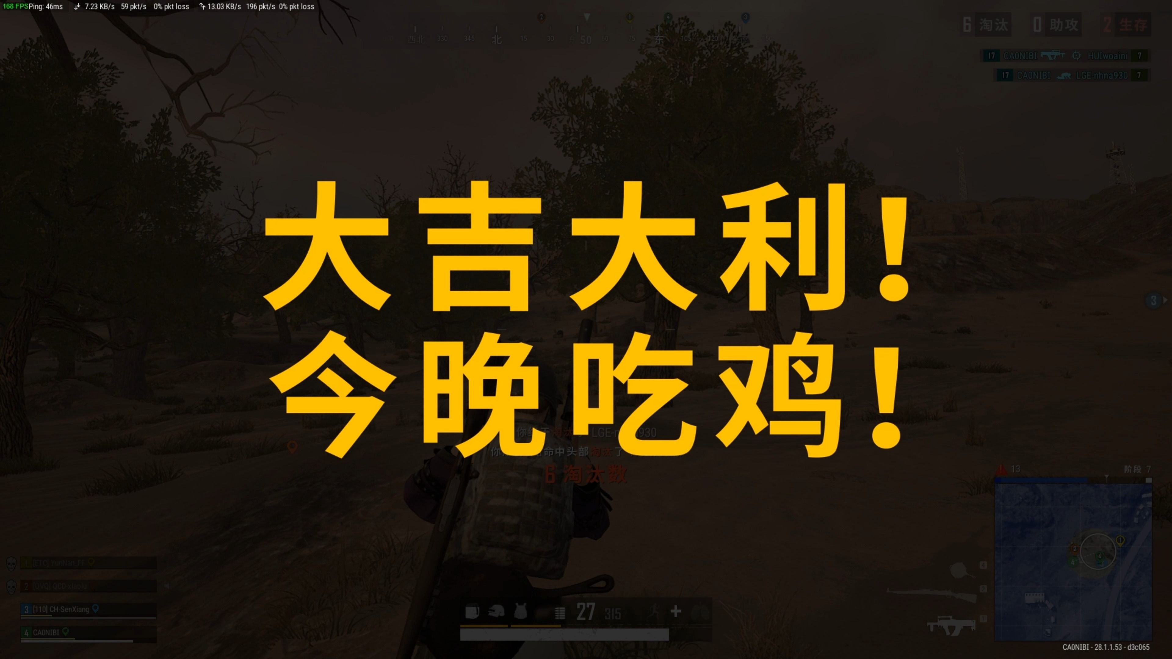马林鱼队如